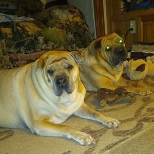 Meet your Posher, Richard